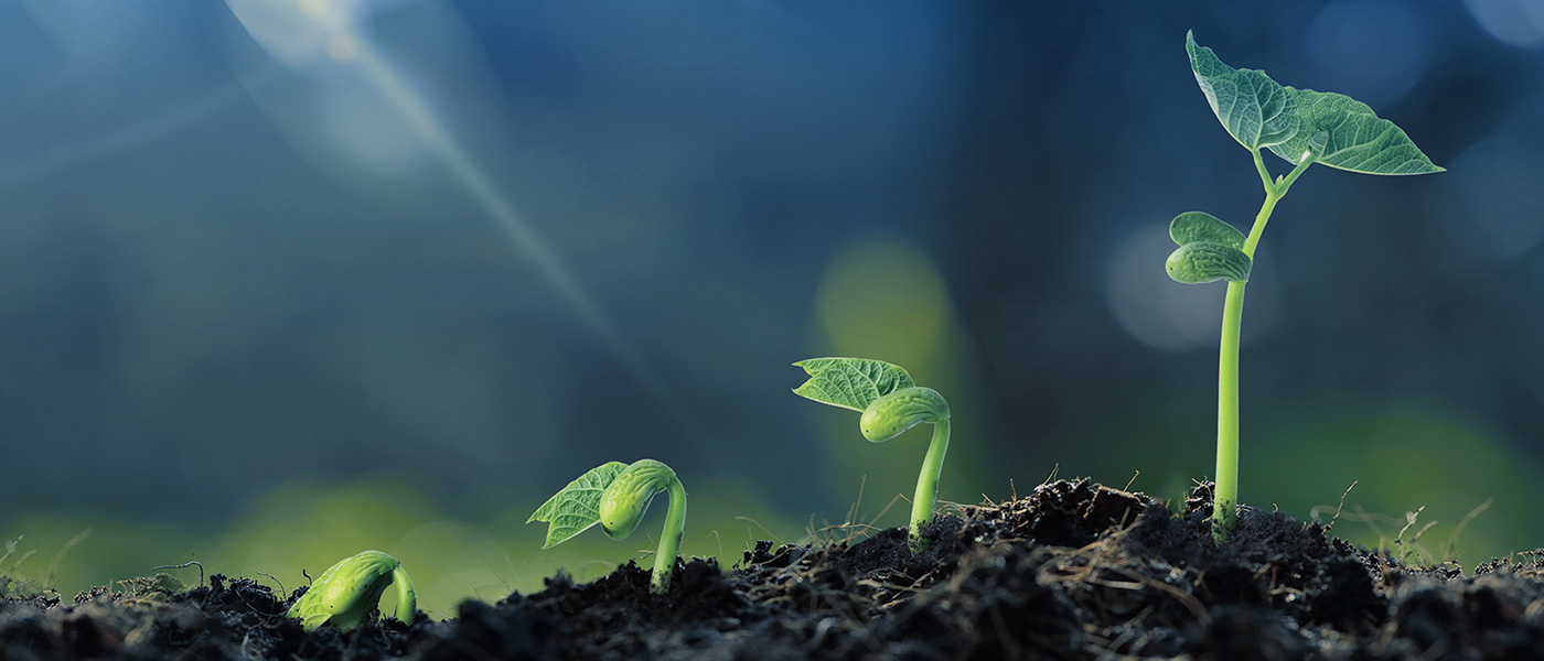 ��ҳ|���������й��ٷ���վ